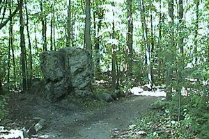 Hickory Trail, Gatineau Park