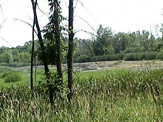 View of Breckenridge Creek Nature Preserve