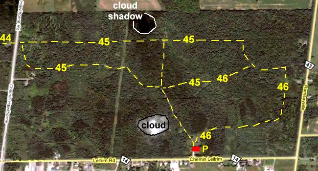 Google Satellite View of the Letrim Road East Trails