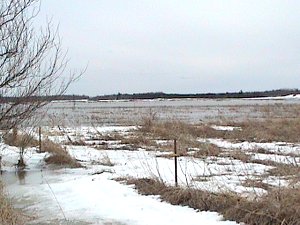 Looking Southwest over Cobbs Lake Creek Floodplain