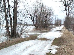 South End of Pilon Road