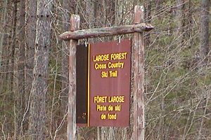 County Road 8 Ski Trail Sign