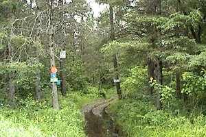 Ski Trail Crossing Bouvier Road