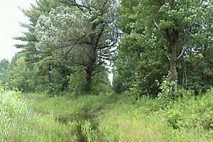 Lemieux Road Extension Trail