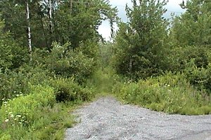 Route 300E Trail to North