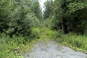 Route 300E Trail to South