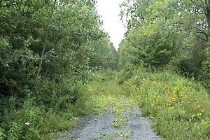 Lemieux Road and Route 200E Trail