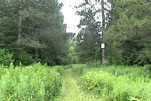 County Road 8 and Route 100E Trailhead