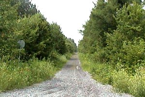 Tamarack Road looking NNW