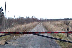 View of the East End of Dolman Ridge Road