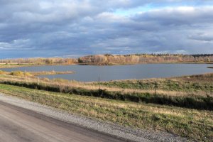 View of the Southern Pond