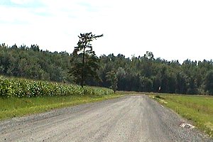 View from the Junction of Dunning and Regimbald Roads