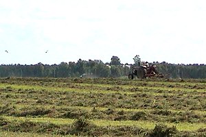 Haying West of Regimbald and O'Toole Roads