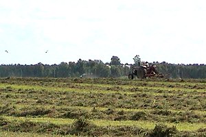 Haying West of Regimbald and O'Toole Roads