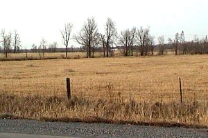 View along Renaud Road looking North