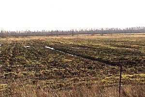 View along Renaud Road looking South