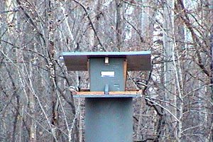 OFNC Feeder at Dewberry Trail Parking Area