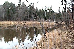 Creek at Carlsbad Springs Historic Site