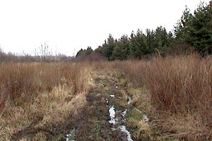 Trail off North End of Boundary Road