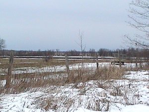 View of Bear Brook at Trim Road area