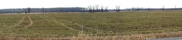 Fields between Milton Road and Mer Bleue