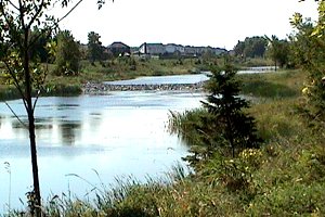 Stormwater Overflow Ponds opposite Honey Gables