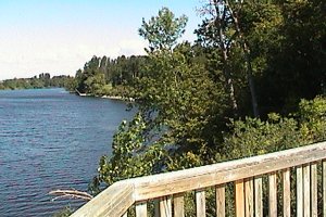 View from the River Platform