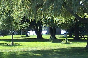 View of W. A. Taylor Conservation Area