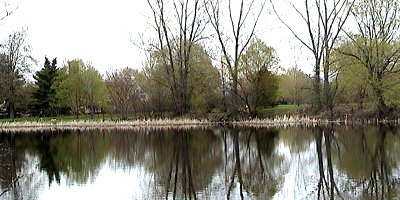 View of New Edinburgh Park from Maple Island