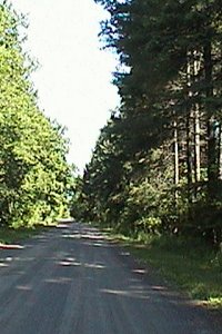 Honour Way on Ferguson Forest Station