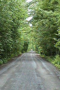 Golf Course Lane on Ferguson Forest Station