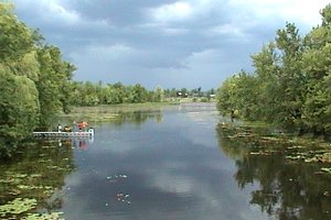 Murphy's Drain Looking Toward the Rideau River