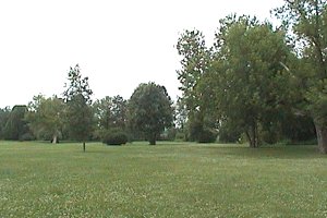 Grounds of Billings Bridge Park