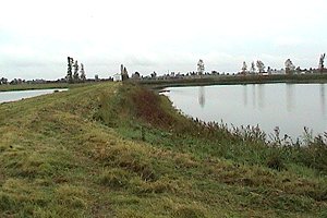 View of Winchester Sewage Lagoons