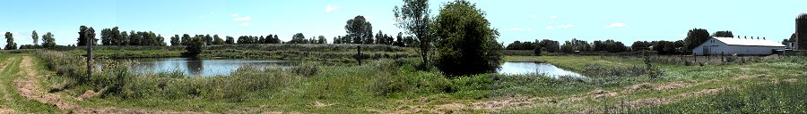 Panoramic View of the Dignard Constructed Wetland