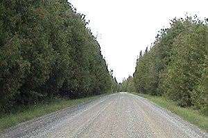 View down Gallagher Road