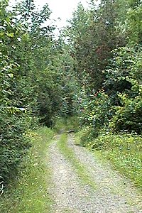 View of the Southwestern Continuation of Mulholland Road