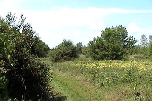 Old Farmland along the Paden Road Trails