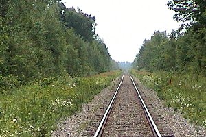 The Long Walk into the Fen