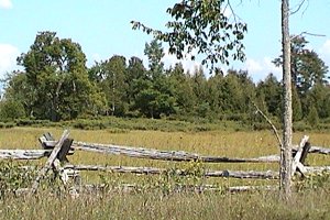 Montague Boundary Road