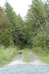 View of the Old Rideau Trail on Dwyer Hill Road