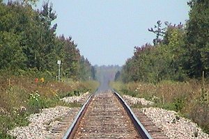 The Tracks to Richmond Fen via Kettles Road