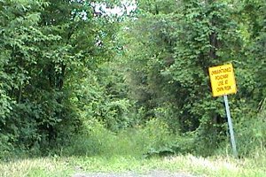 View of Trail SW of Goodstown Road