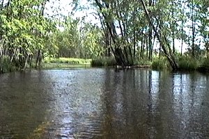 The Beautiful Jock River between Joy's Road and the Richmond Fen