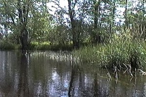 The Beautiful Jock River between Joy's Road and the Richmond Fen