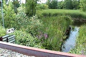 Channel at the Railway Bridge along the Jock River