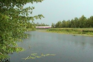 Train Crossing Bridge Downstream from Joy's Road Landing