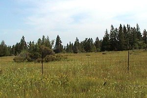 View along Pakenham Concession 12