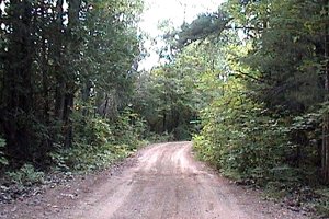 Track along Glen Creek