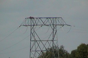 Osprey Nest on the Power Pylon